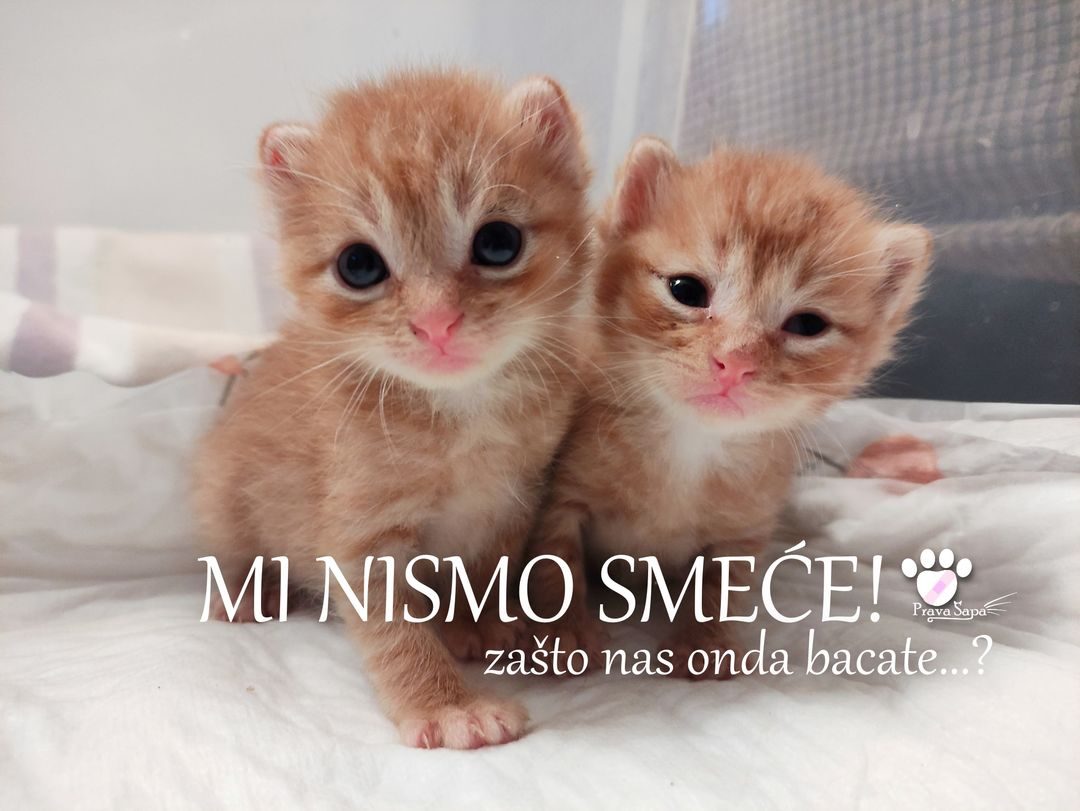 183387456_5413988232007106_204295697485163268_n