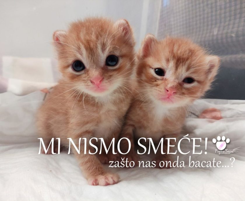 183387456_5413988232007106_204295697485163268_n