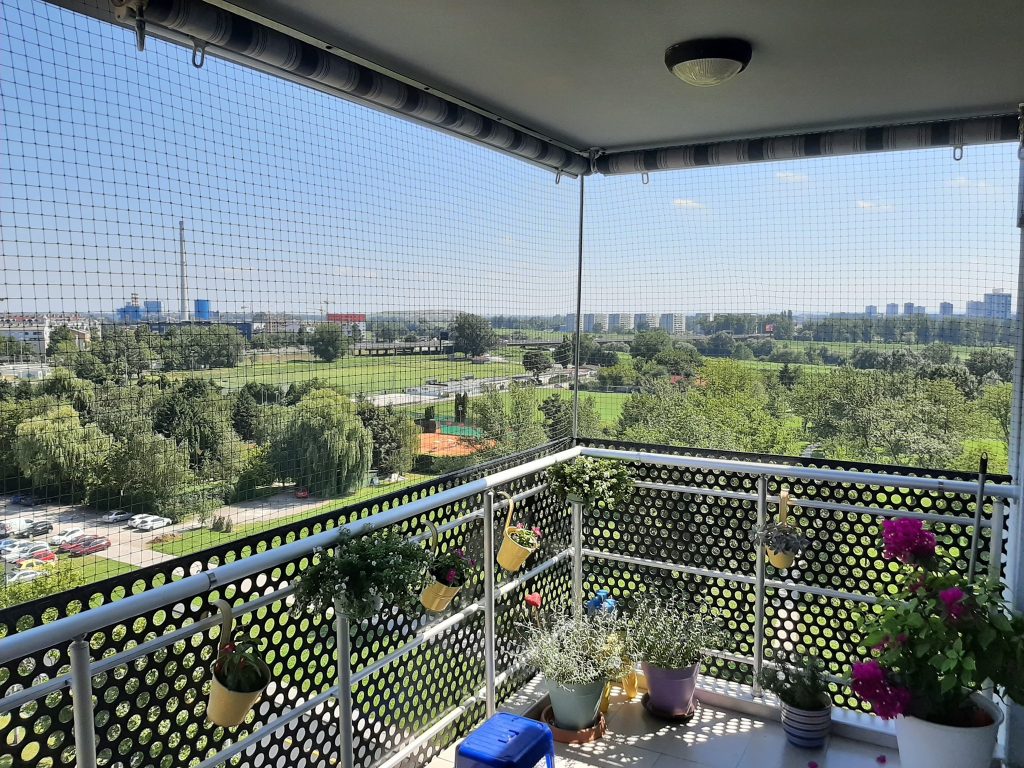 118360228_4210694802336461_7285700183602601650_n