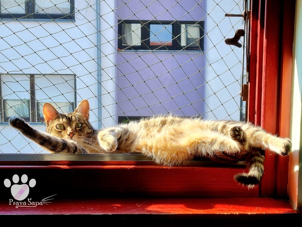 475371546_1019384483567570_6251136152635086482_n