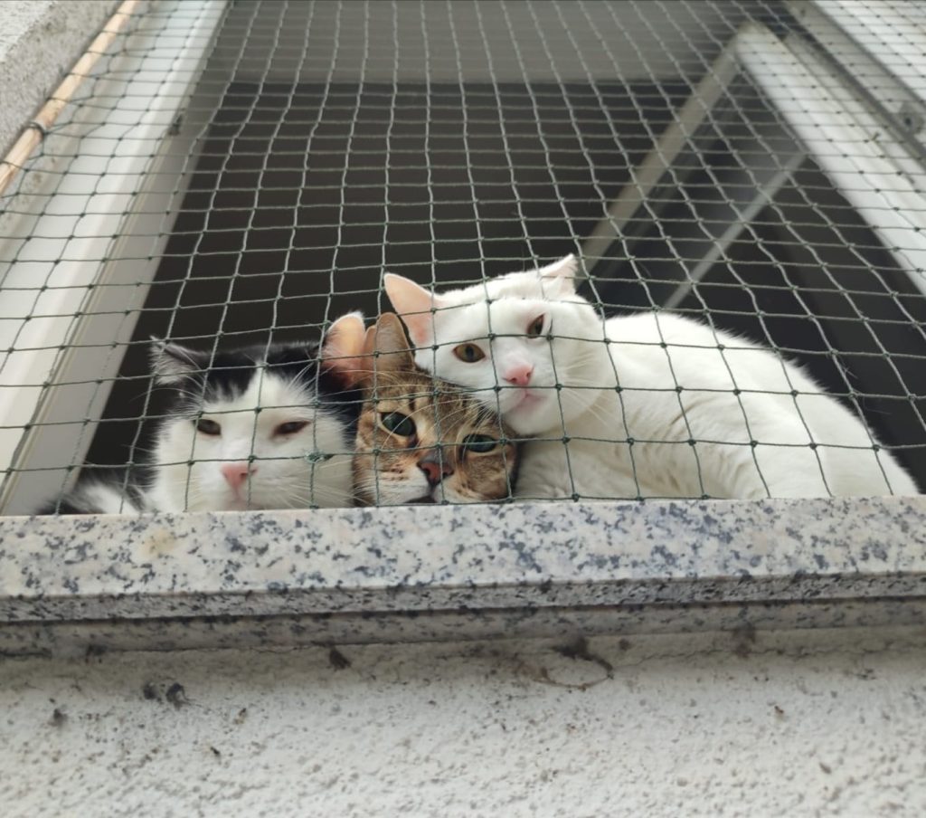 481012305_1039012044938147_3165288944763399499_n