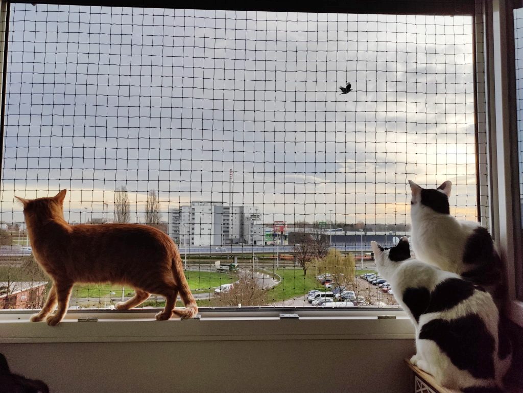 484148658_28728463806799553_1015815571310438078_n