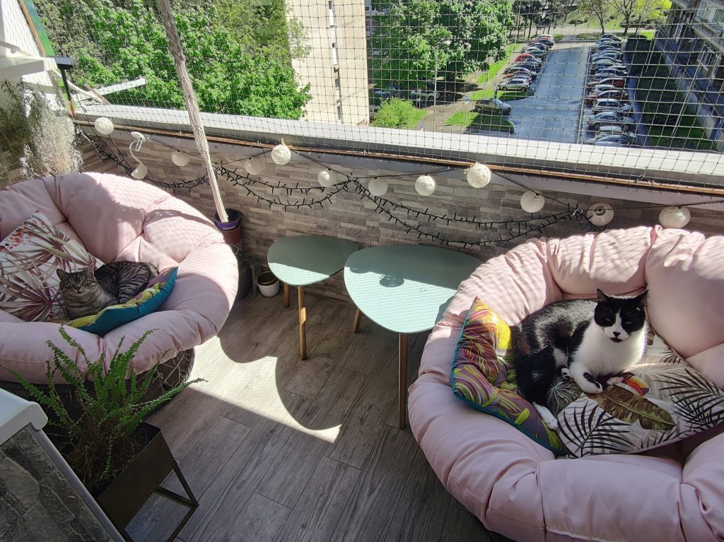 485801965_28846255321687067_3100520754150666834_n