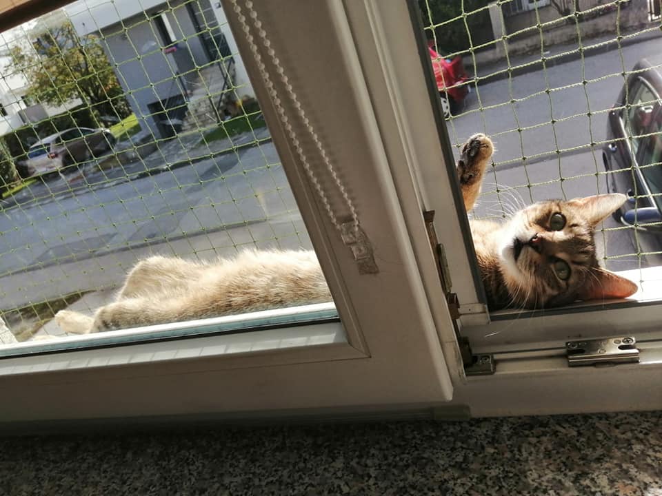 488250377_28962069563438975_5810373497789646319_n