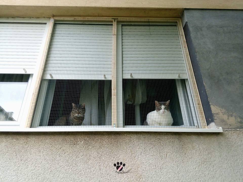 511324618_30102247102754543_5138045627365074983_n