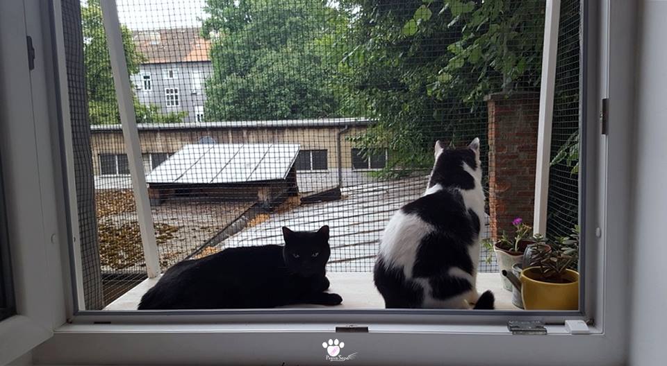 514186804_30118200907825829_1436917532684534689_n