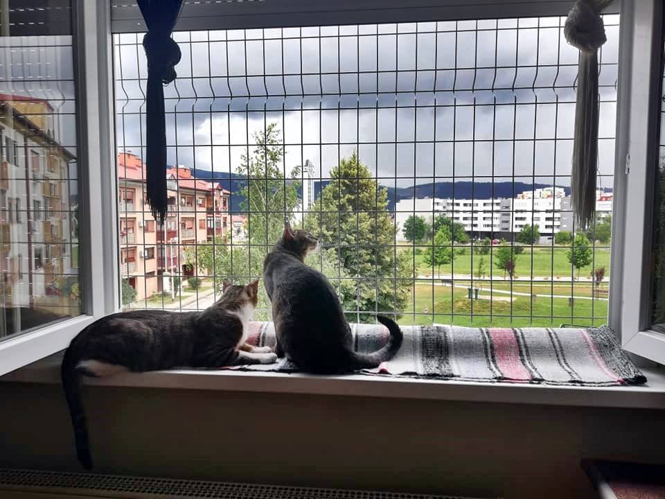 64783450_2761251937280762_8811691003397275648_n